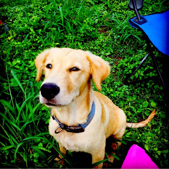 Meet your Posher, B - Picture 1 of 1